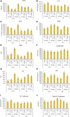 Differential Protein Expression Analysis of Two Sugarcane Varieties in Response to Diazotrophic Plant Growth-Promoting Endophyte Enterobacter roggenkampii ED5